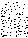 image/jpeg