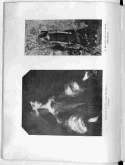 83