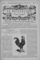 image/jpeg