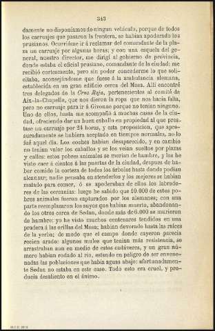 Página 31
