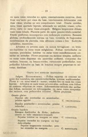 Página 0019